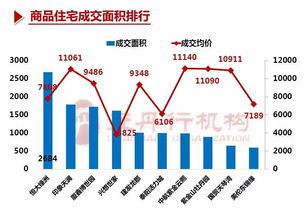 龍巖房地產市場周報 經紀服務如何影響你的購房體驗與成交效率